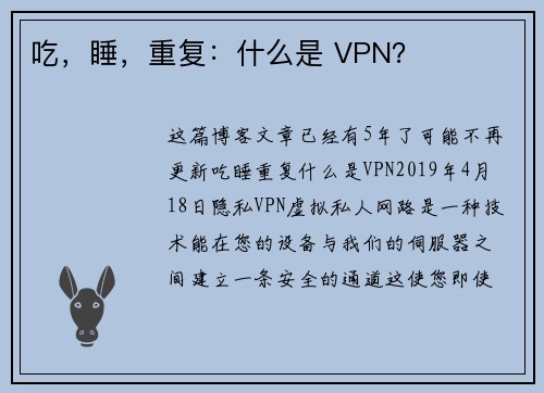 吃，睡，重复：什么是 VPN？
